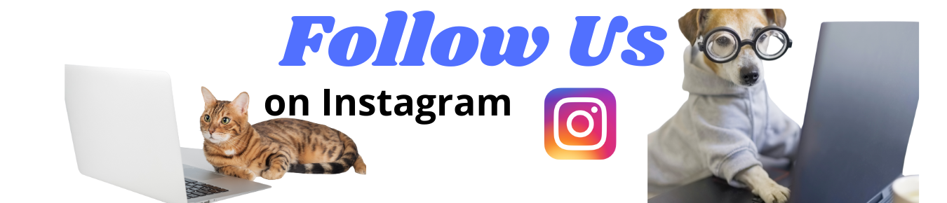 Follow us on Insta