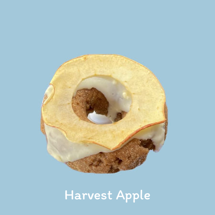 Harvest Apple Donut