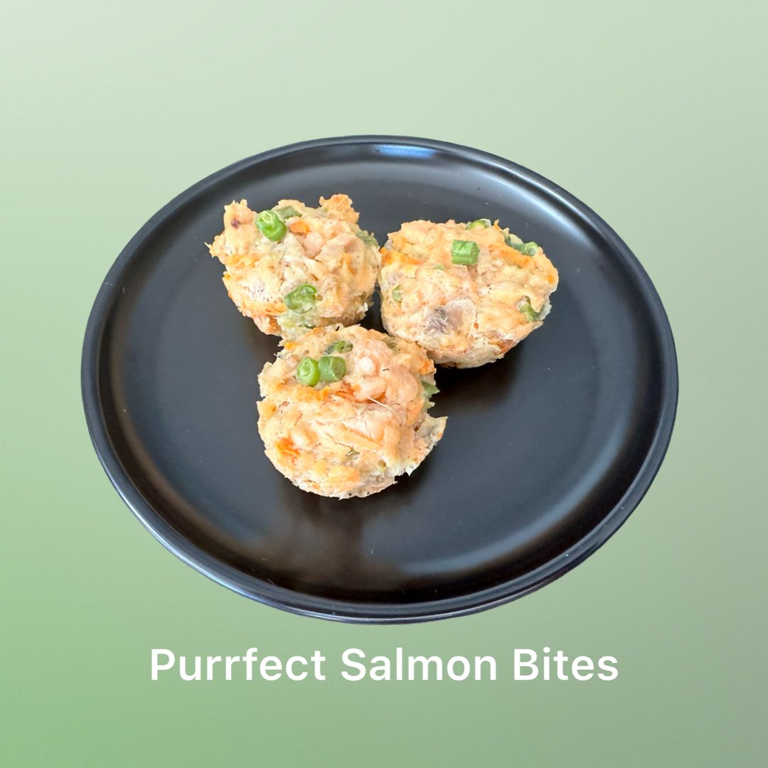 Purrfect Salmon Bites