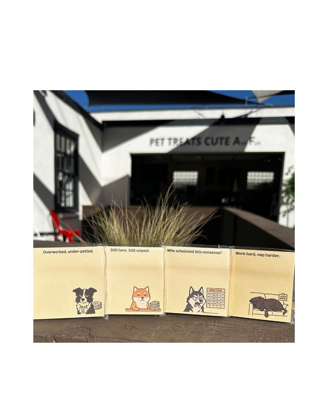 Funny & Cute Sticky Notes