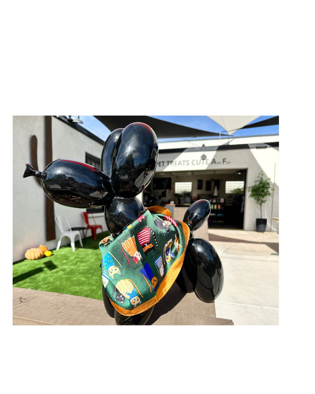 Bohemian Cat Print Square Scarf - Green