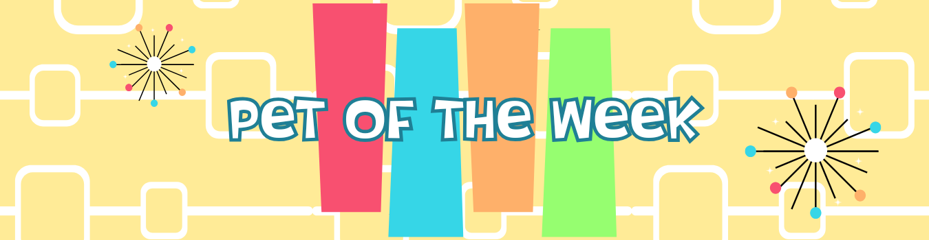 Pet of the Week sign up
