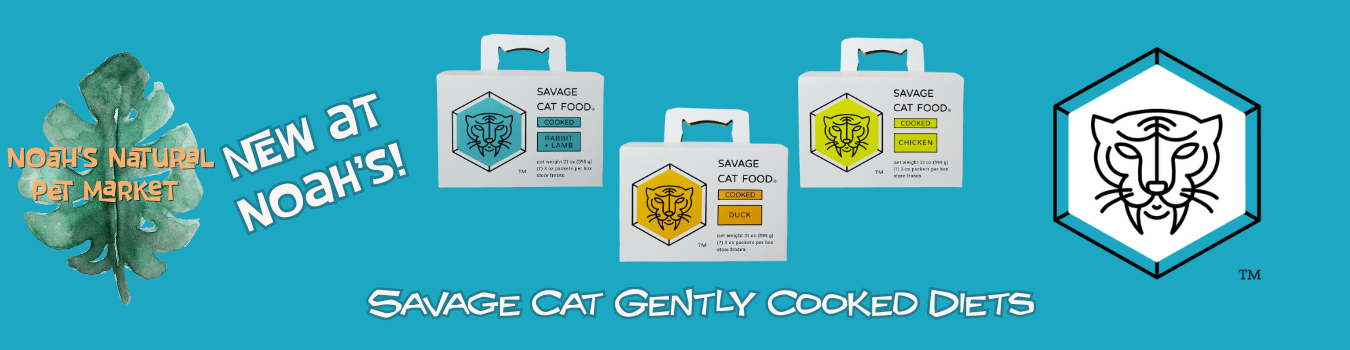 Savage Cat Gently Cooked