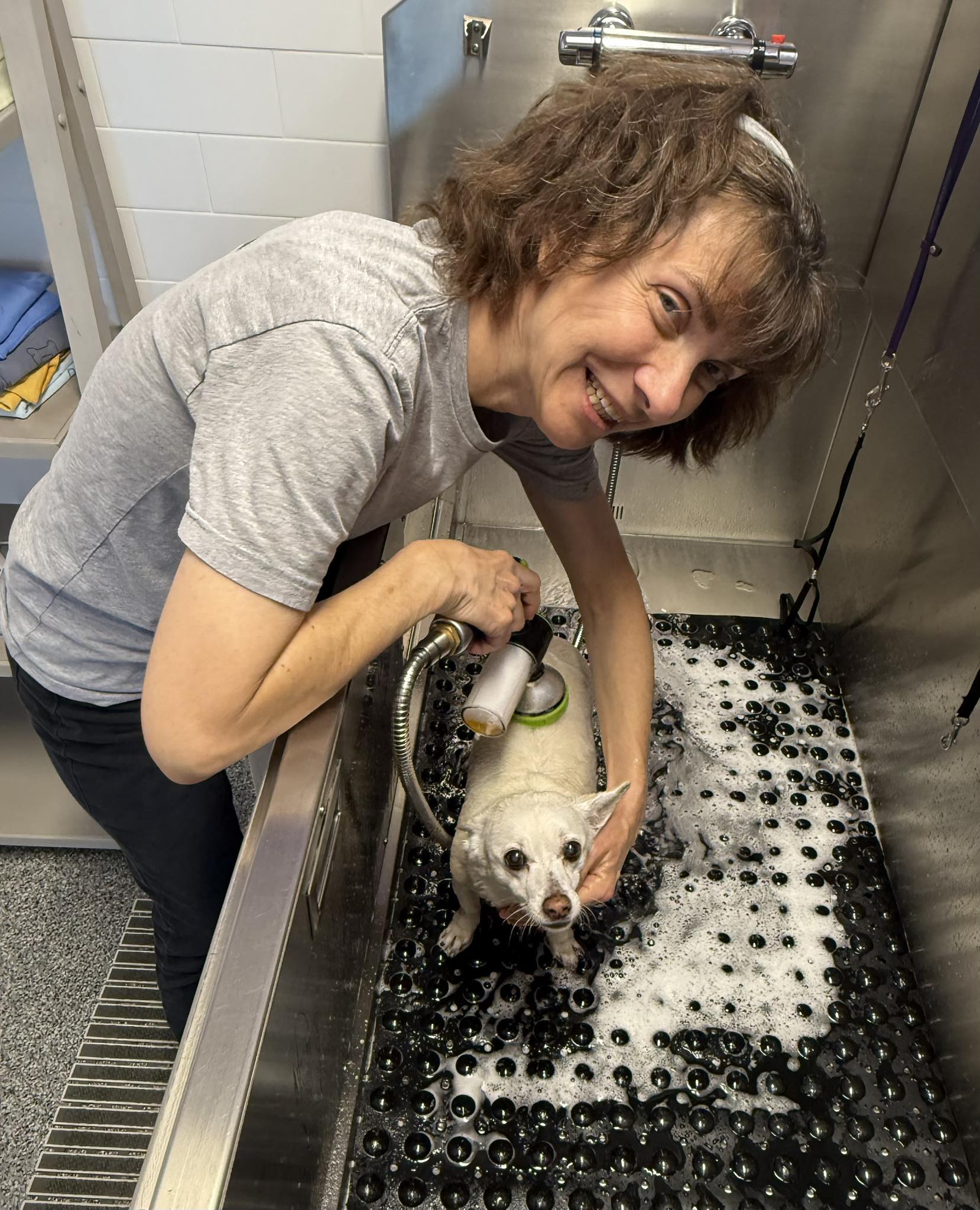 Self-wash dog station at EarthWise Pet Ozark