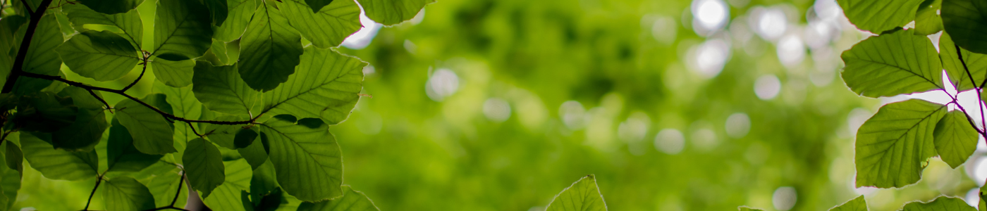 background banner
