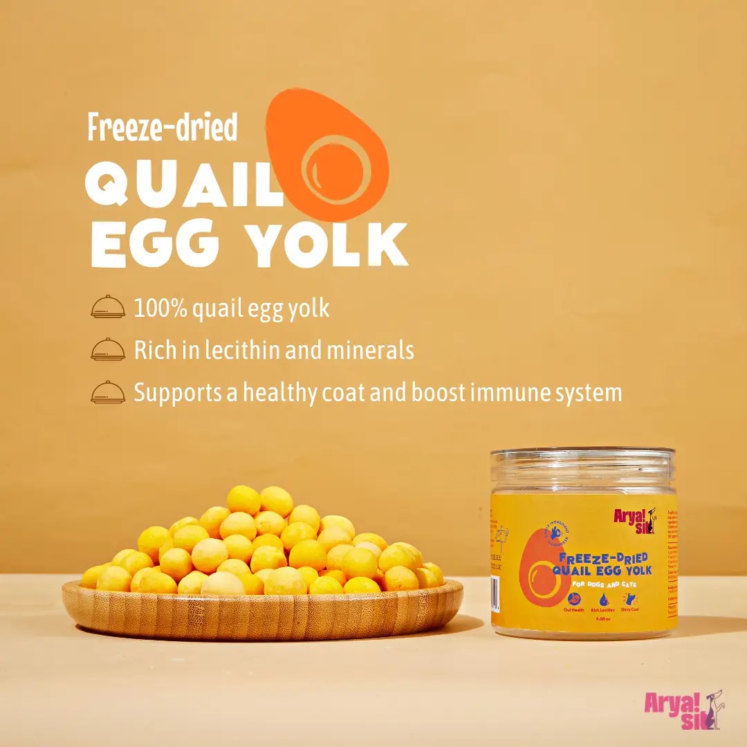 Arya Sit- Freeze-Dried Egg Yolk - 10oz