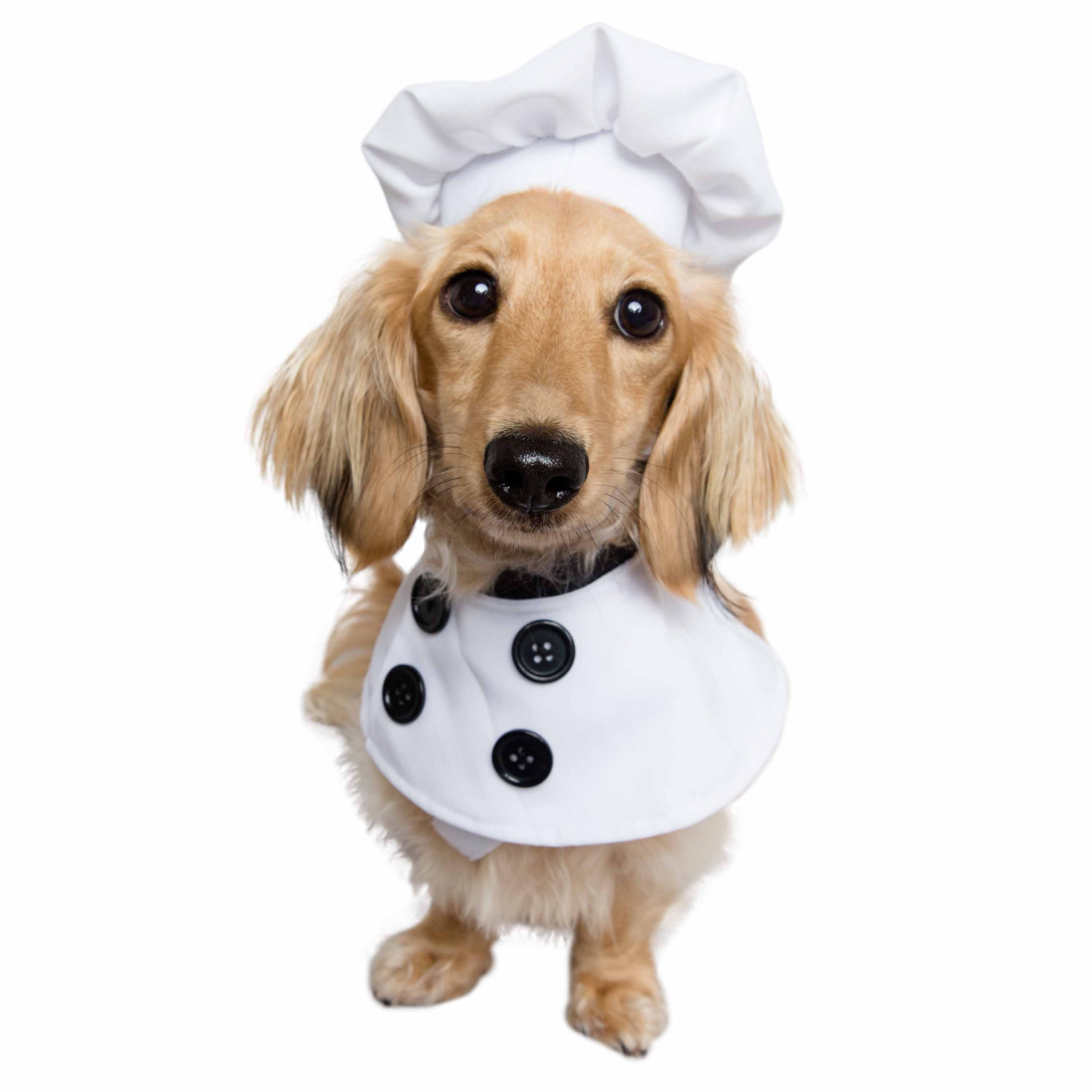 Pet Krewe- Chef Costume Large/XL