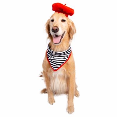 Pet Krewe- French Beret & Scarf