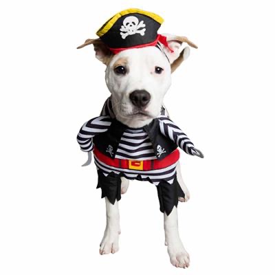 Pet Krewe- Pirate Costume Extra Large