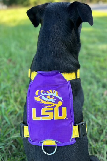 BAYDOG- LSU Harness Medium