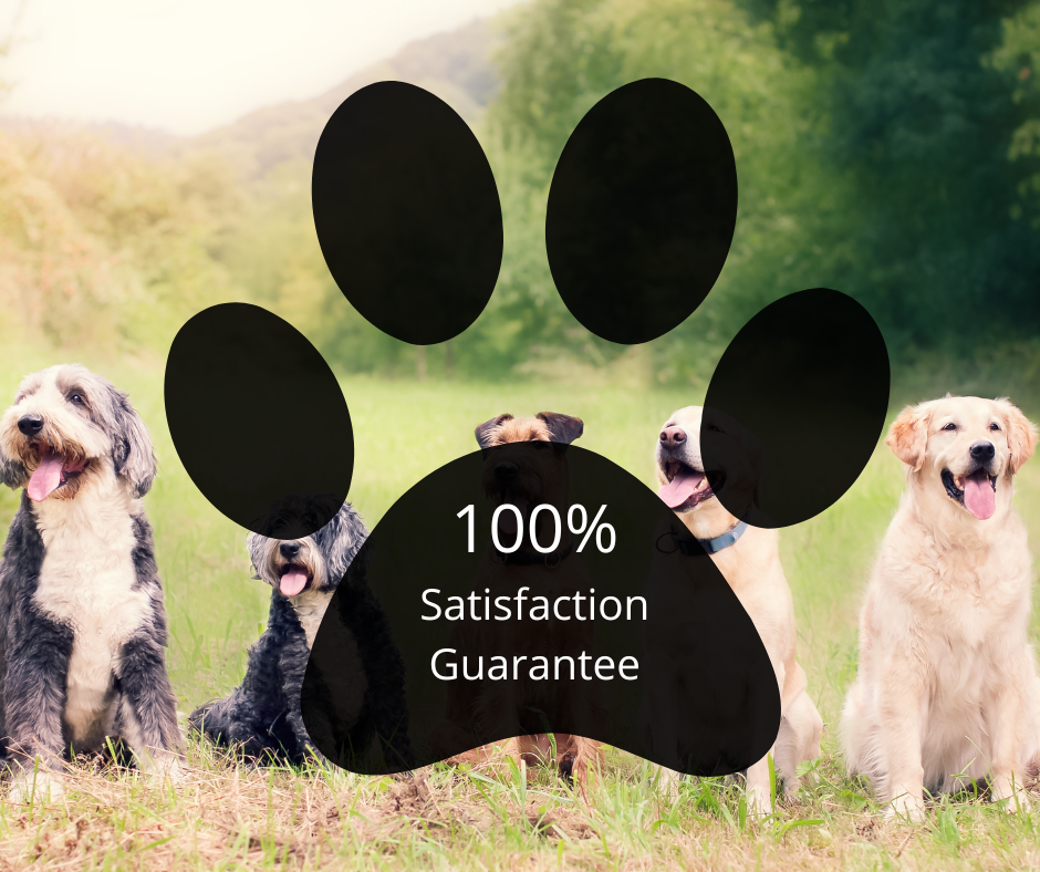background banner