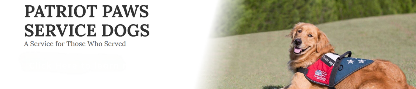 background banner