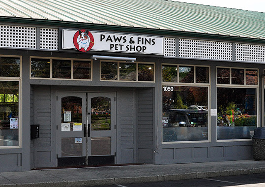 Store Image