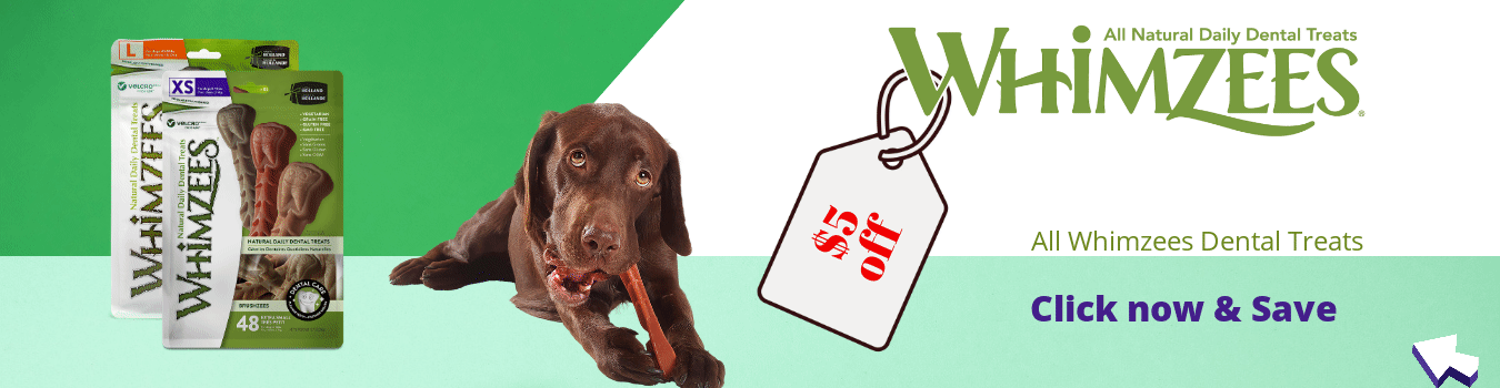 The Definitive Guide for Cat Bed