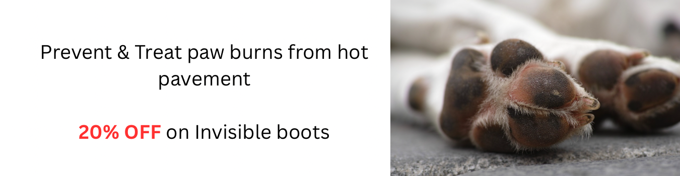 Boot