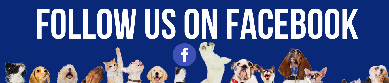 follow us on facebook