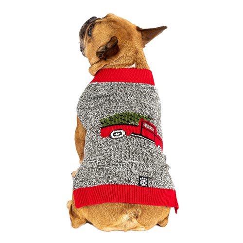 Petrageous Truck & Tree Sweater Md
