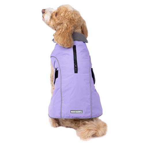 Eddie Bauer Performance Jacket purple Md