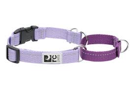 RC Pets Primary Web Training Clip Dog Collar, Lilac/Purple, Medium (Size: Medium)