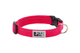 RC Pets Primary Web Training Clip Dog Collar, Azalea, Small (Size: Small)