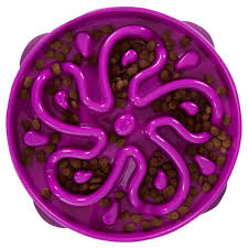 Outward Hound Fun Feeder Slow Bowl Large