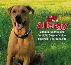 Fido-Vite Allergy 4lb