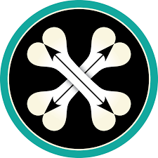 Bones + Arrows