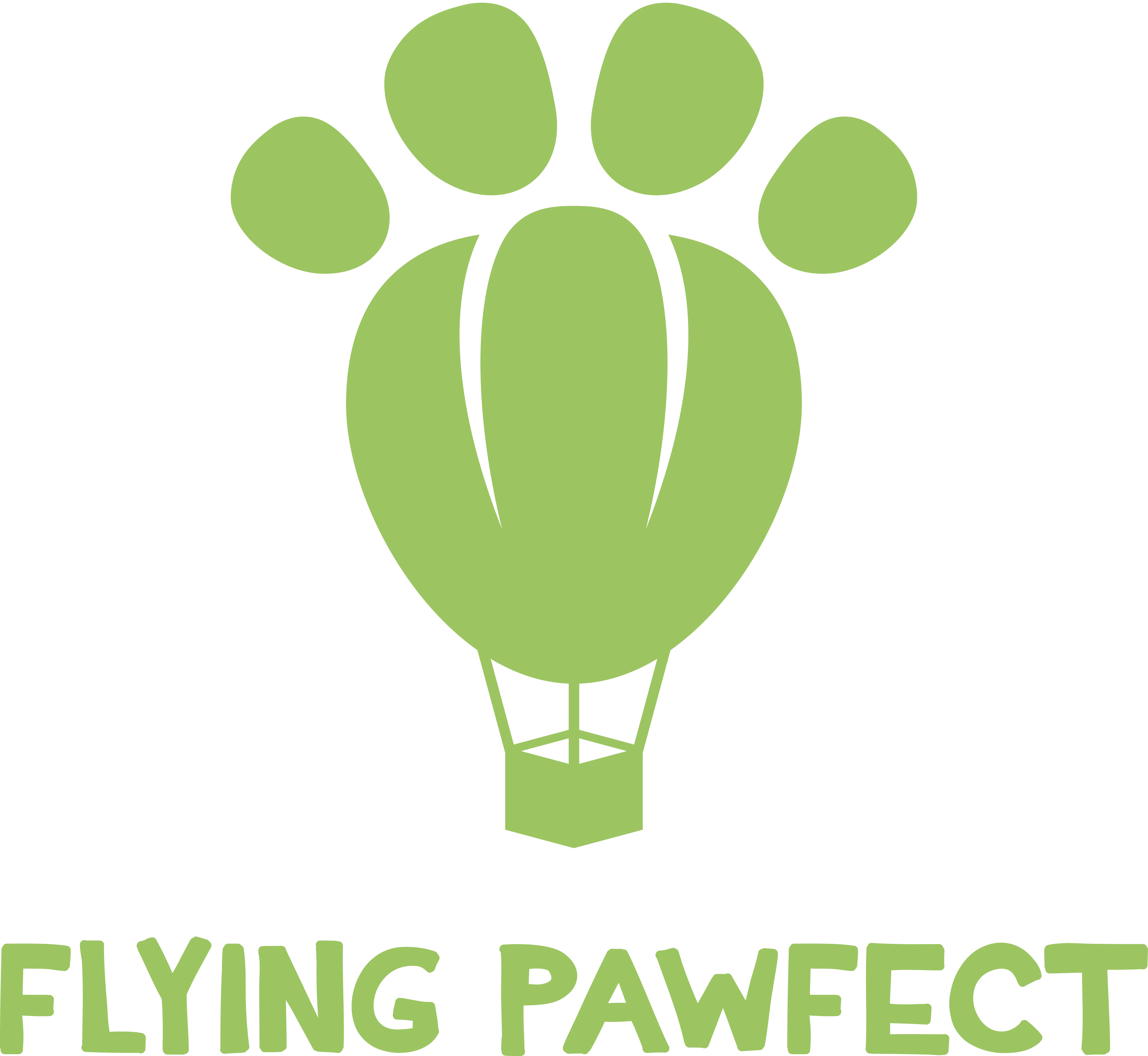 Flying Pawfect