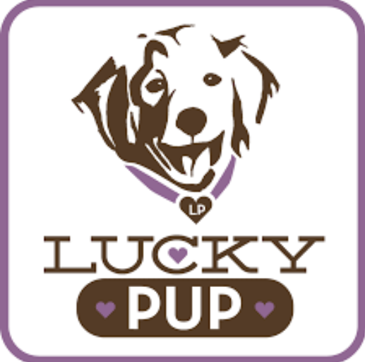 Lucky Pup