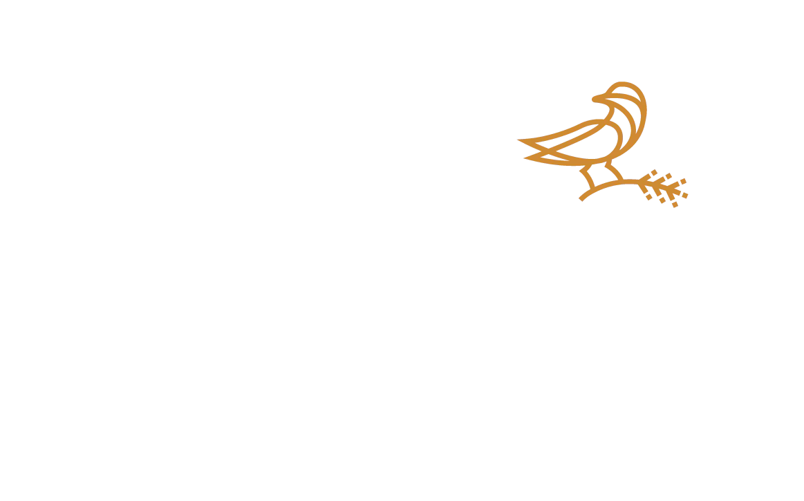 Moore's Seeds