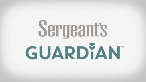 Sergeant’S