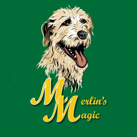 Merlin's Magic