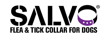 Salvo