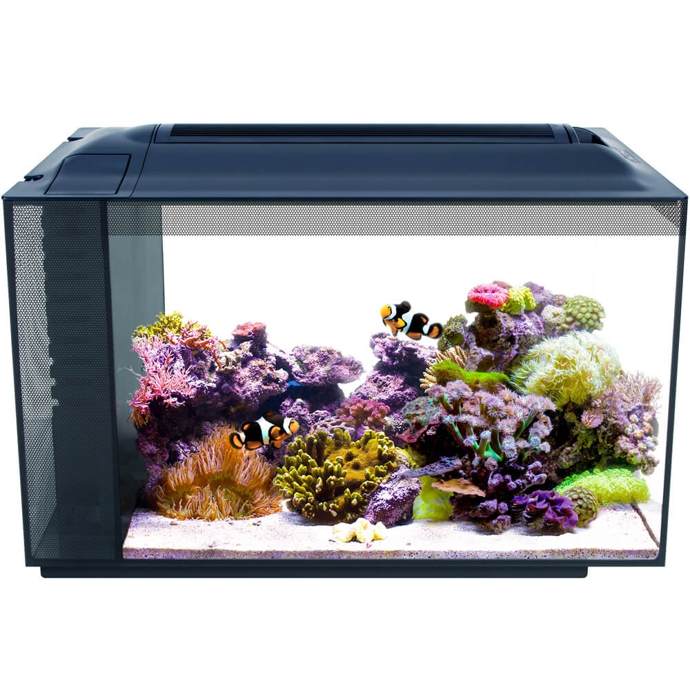 Fluval SEA EVO XII Saltwater Aquarium Kit, 12 gal (Size: 12-gal)