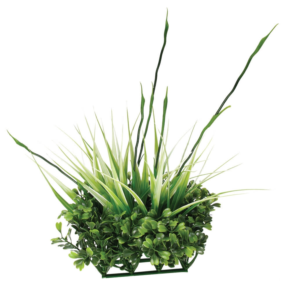 Fluval Chi Boxwood and Tall Grass Ornament