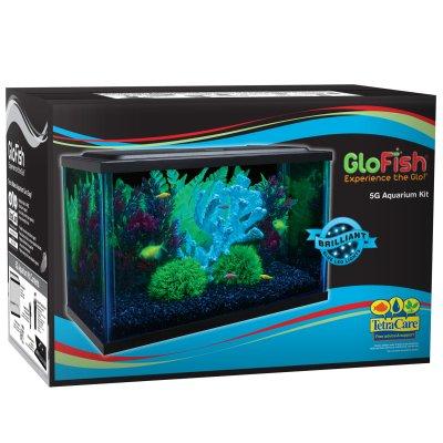GloFish Glass Aquarium Kit, 5-gal