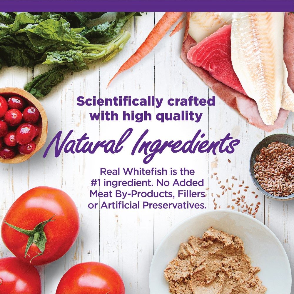 Wellness Complete Health Pate Kitten Whitefish & Tuna Wet Cat Food Can, 3-oz