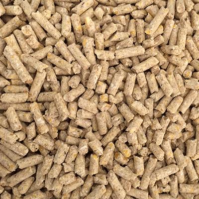 Modesto Milling Organic Pellets Mini Pig Feed