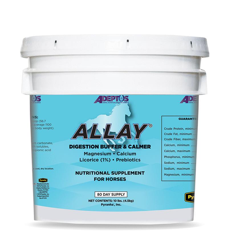 Adeptus Allay Digestion Buffer & Calmer Horse Supplement, 10-lb
