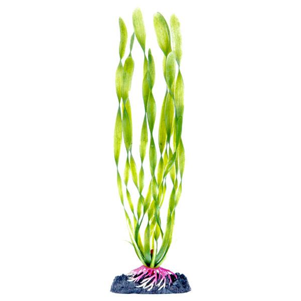 Penn-Plax Aqua-Plant Sinkers Corkscrew Val for Aquariums, Medium