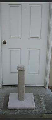 Cat Pro Straight Post 24"