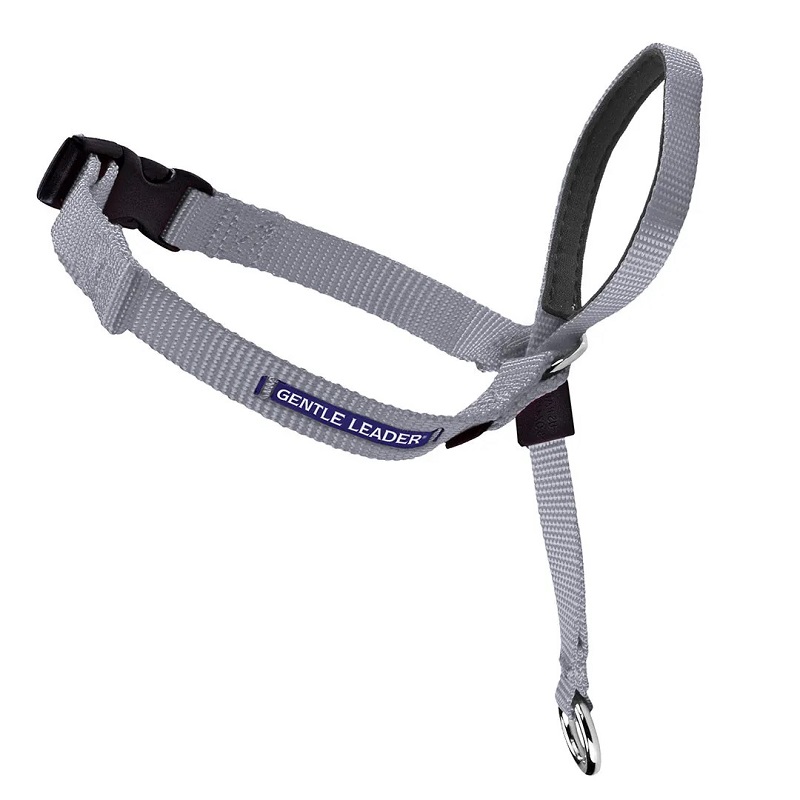 PetSafe Gentle Leader Quick Release Dog Headcollar, Silver, Petite