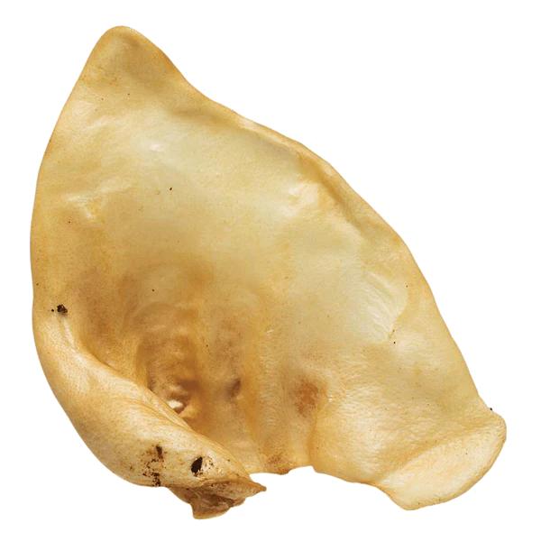 Redbarn Naturals Puffed Sow Ears Dog Treats, 1-count