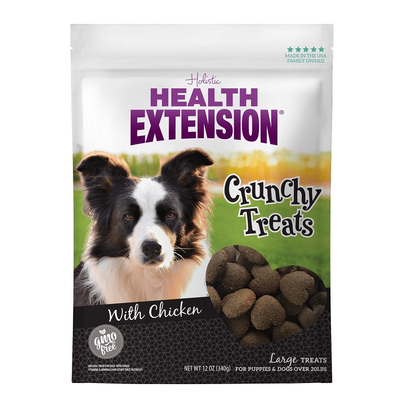 Health Extension Crunchy Treats with Wild Chicken Large Dog Treats, 12-oz