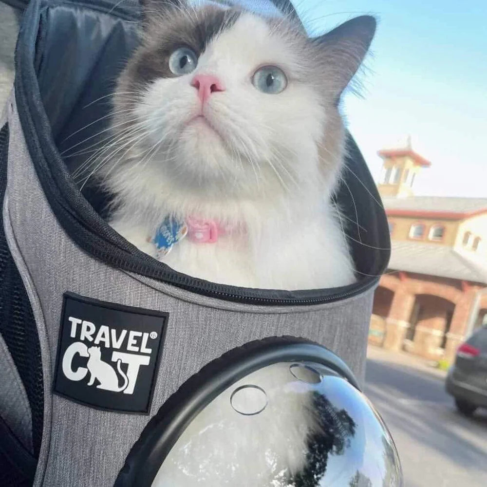 Travel Cat The Fat Cat Backpack for Mini Cats, Heather Grey