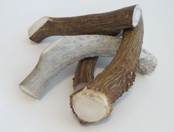 Pack Approved Antler Dog Treats, Large, 8-in, 1-pk