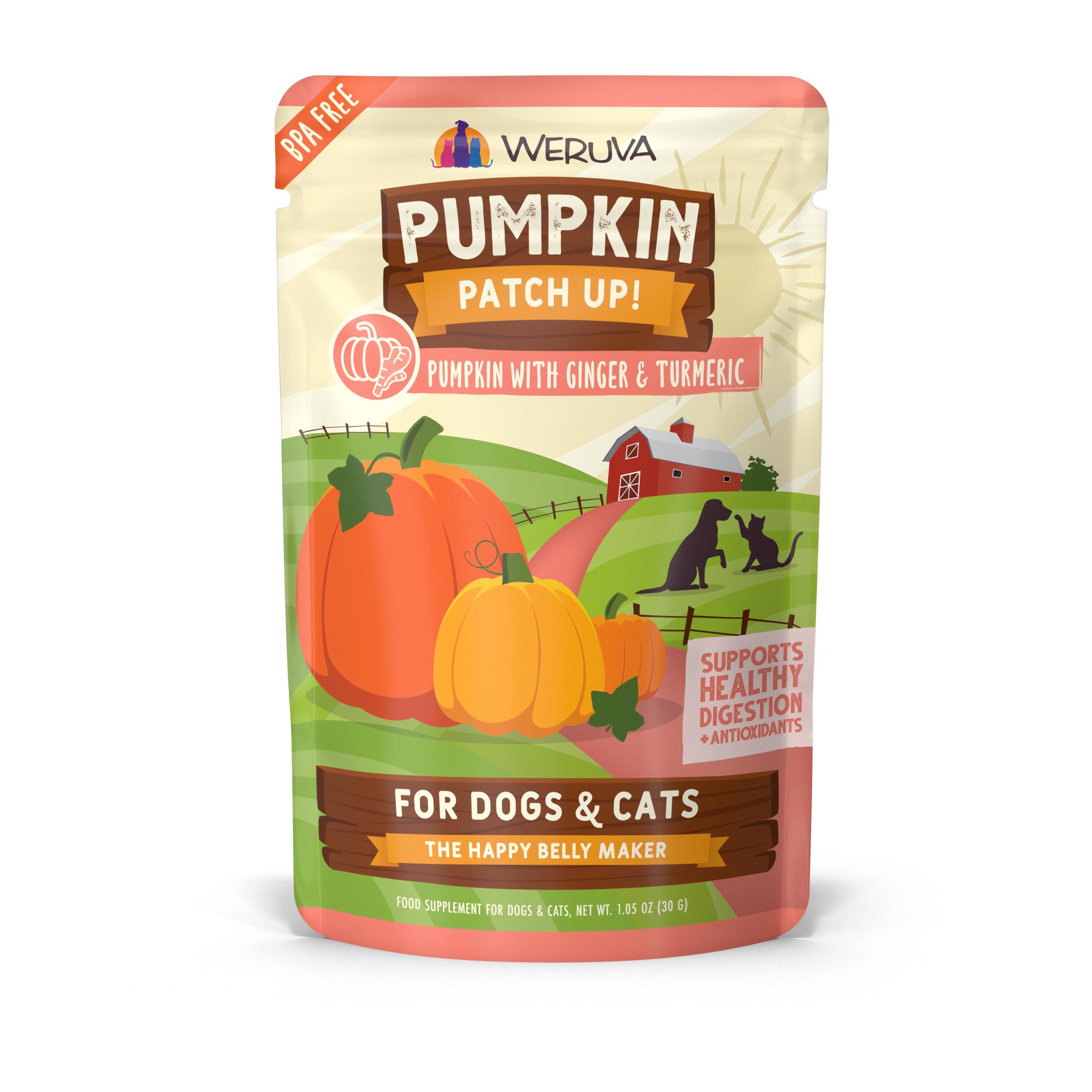 Weruva Grain-Free Pumpkin Patch UP with Ginger & Turmeric Wet Food, 1.05-oz