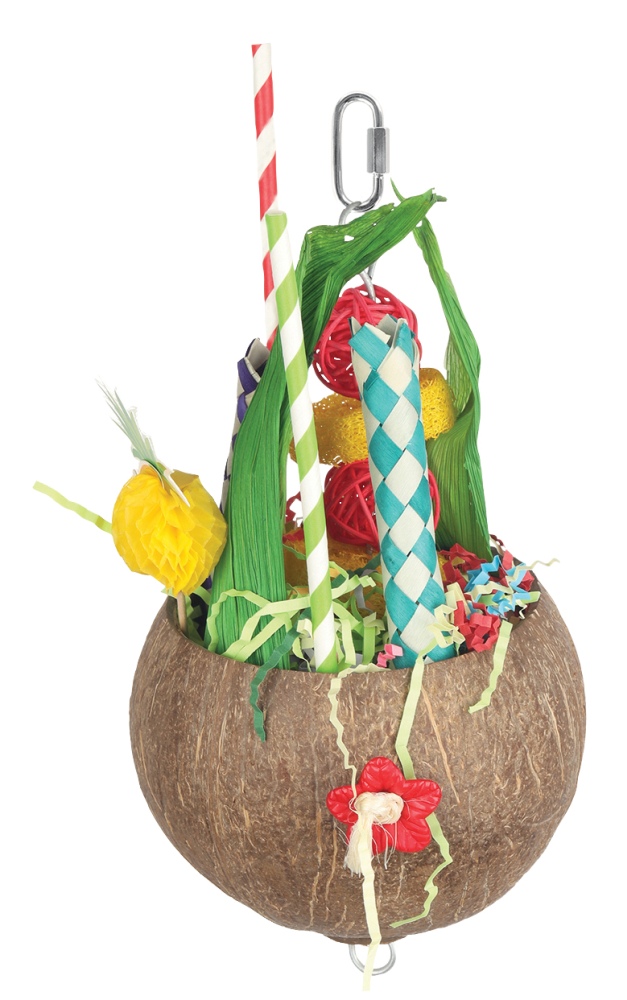 HARI Smart Play Parrot Toy, Colada