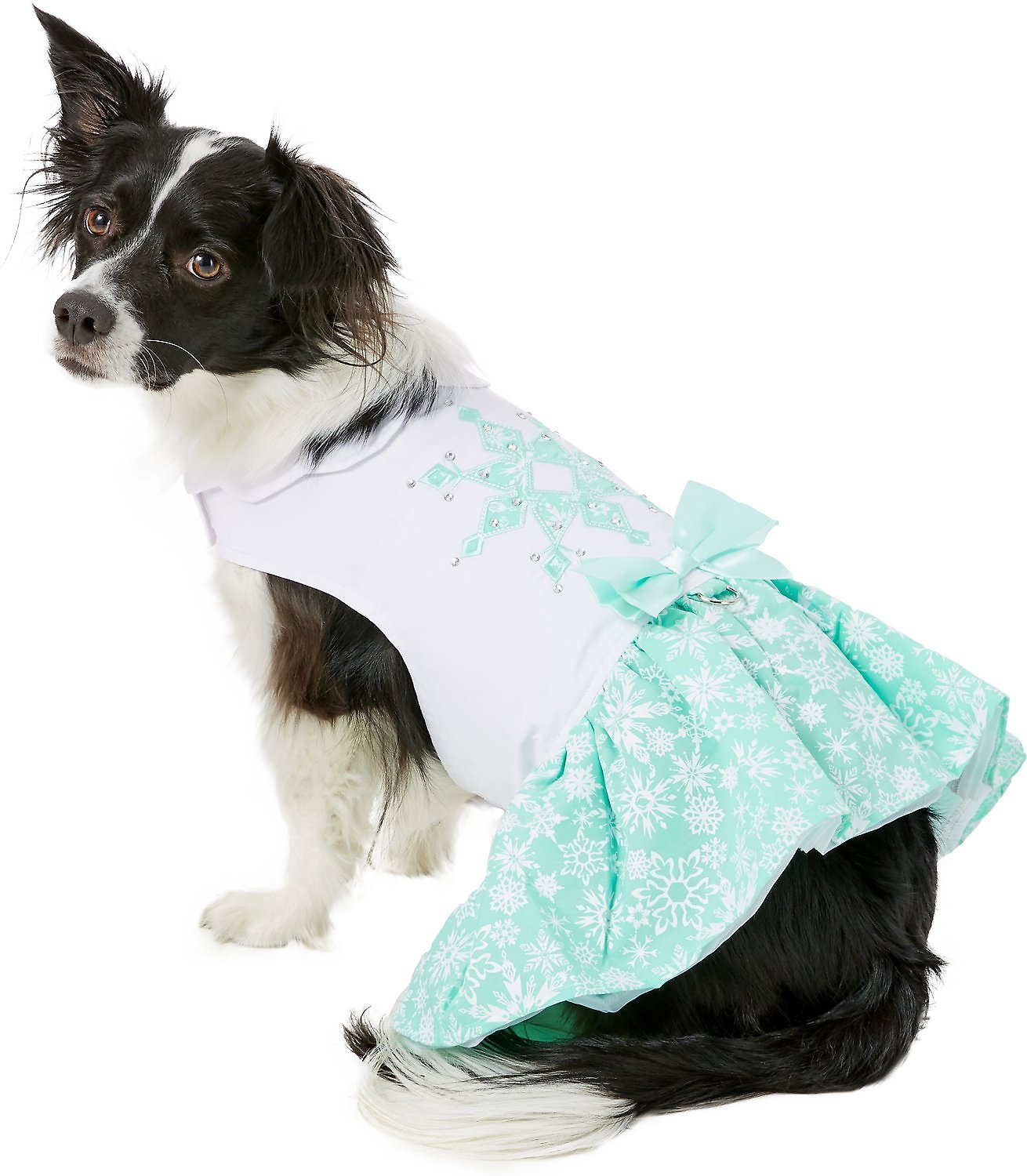 Doggie Design Dog Dress with Matching Leash, Turquoise Crystal