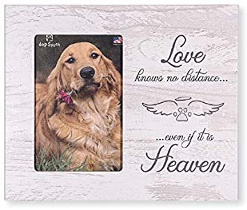 Dog Speak Love Knows No Distance